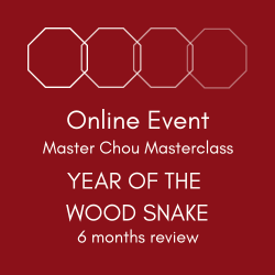 Year of the Wood Snake - Masterclass